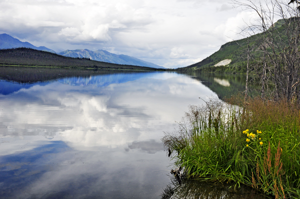 Pickhandle Lakes